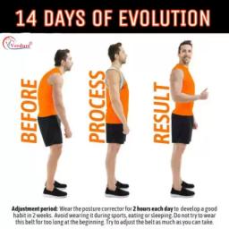 Verdure Knee Protector